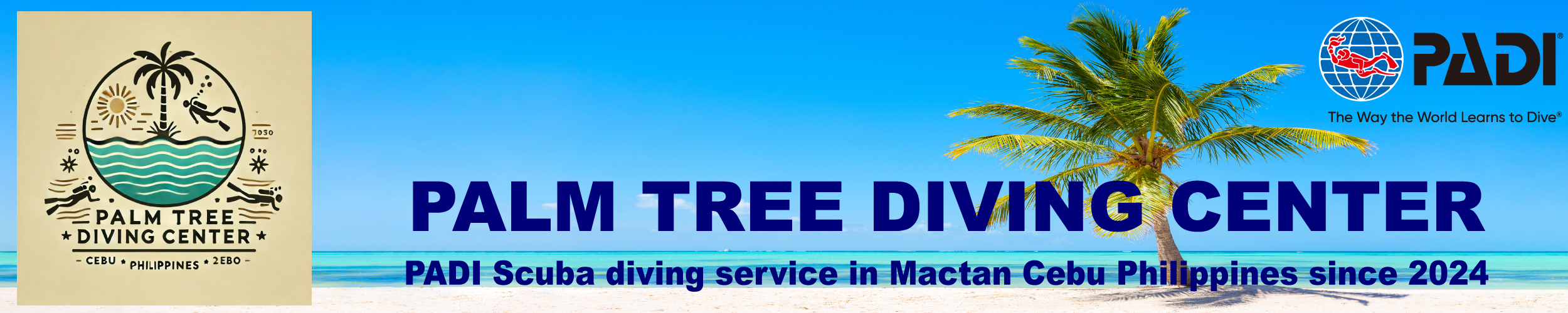 Palm Tree Dive Center